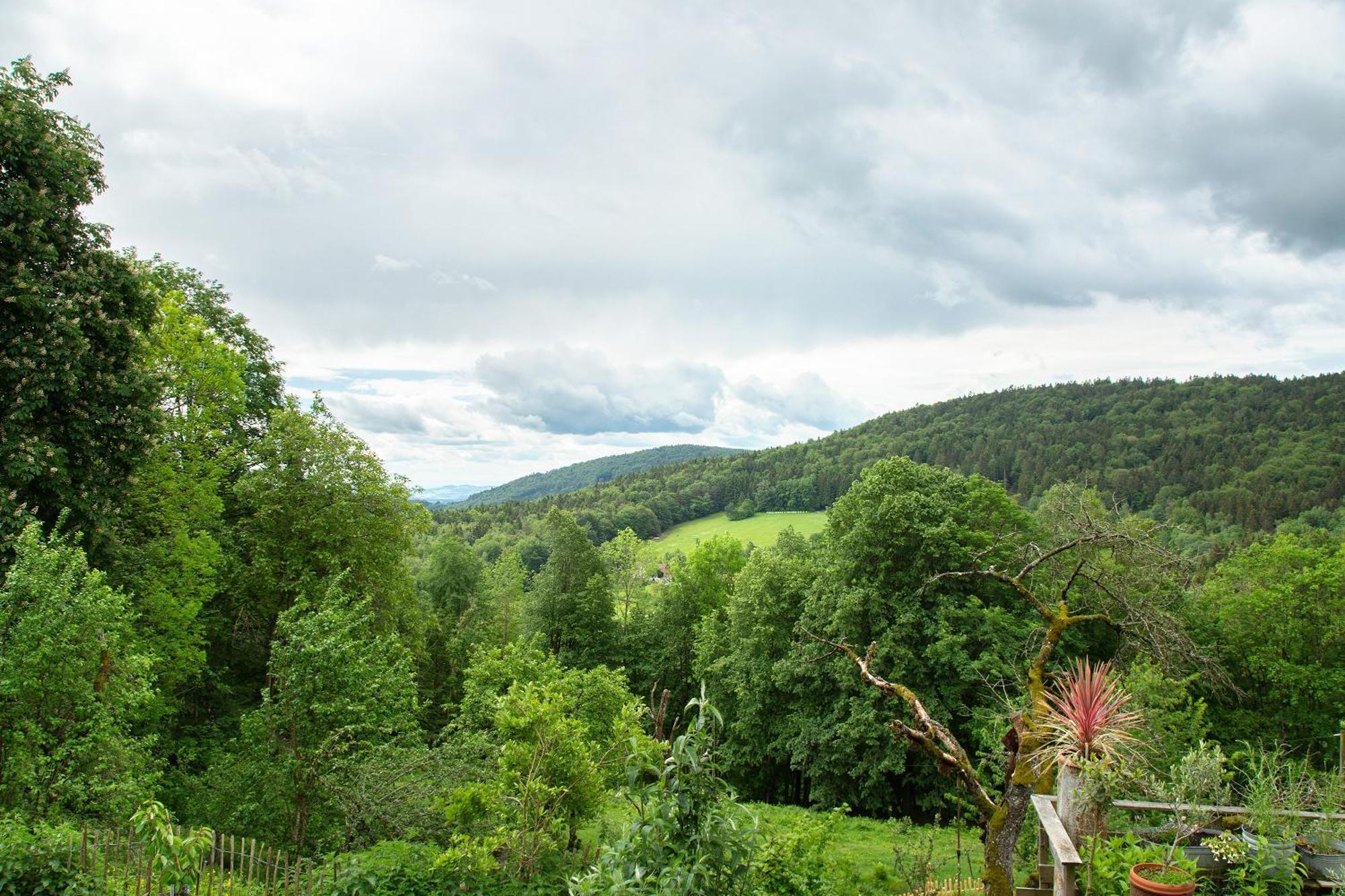Landhaus Am Eselhof Daxstein Schöllnach Kültér fotó